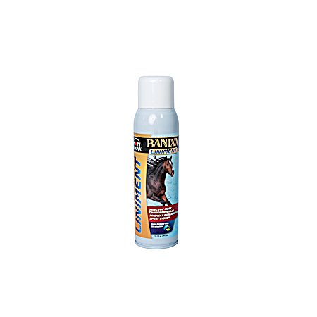 13.2 oz. Premium Liniment