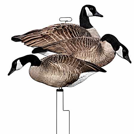 Flats Canada Goose Motion Silhouette - 12 pk