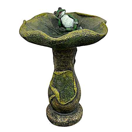 Lazy Frog Birdbath