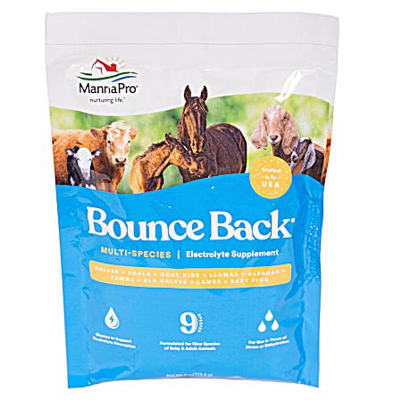 Bounce Back Multi-Species Electrolyte Supplement
