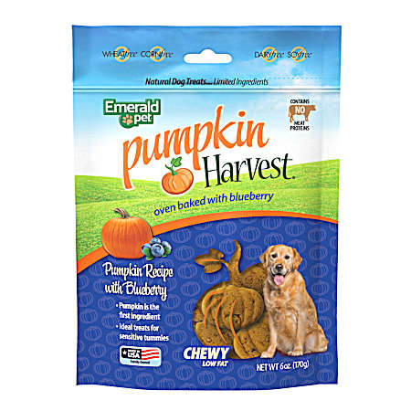 6 oz Pumpkin Harvest Blueberry Soft & Chewy Dog Treats