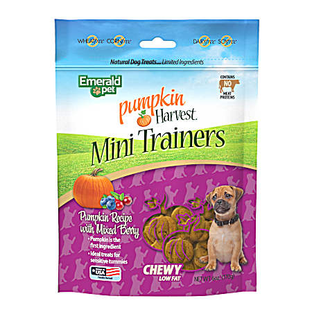 6 oz Pumpkin Harvest Mini Trainers Mixed Berry Soft & Chewy Dog Treats