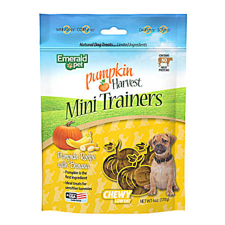 6 oz Pumpkin Harvest Mini Trainers Banana Soft & Chewy Dog Treats