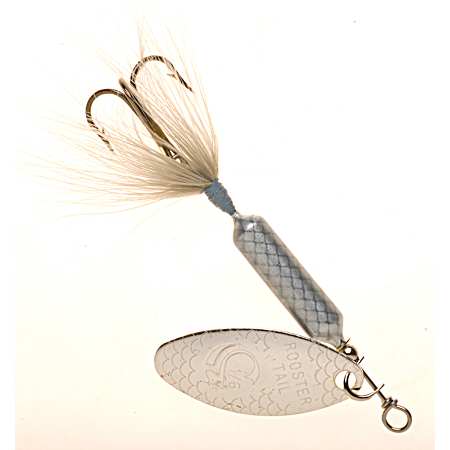 Rooster Tail - Gray