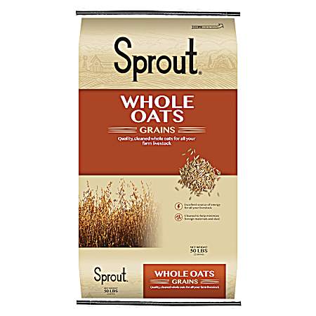 Whole Oat Grains - 50 lb
