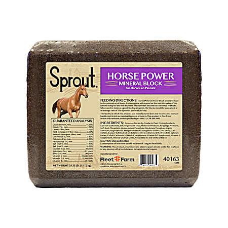 33.3 lb Horses Power Mineral Block