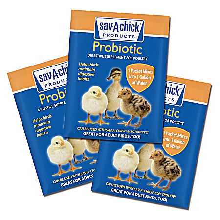 Probiotic Supplement