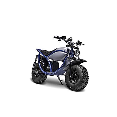 Trail King e1500 Electric Mini Bike