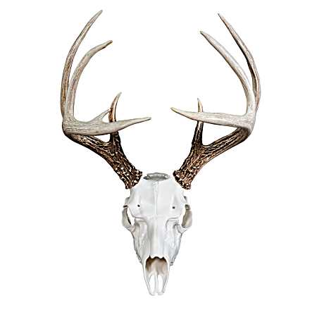 Universal Skull Master Mounting Kit
