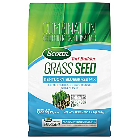 Grass Seed Kentucky Bluegrass Mix