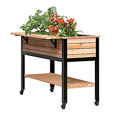 Eucalyptus Raised Garden Planter