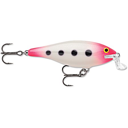 Shallow Shad Rap