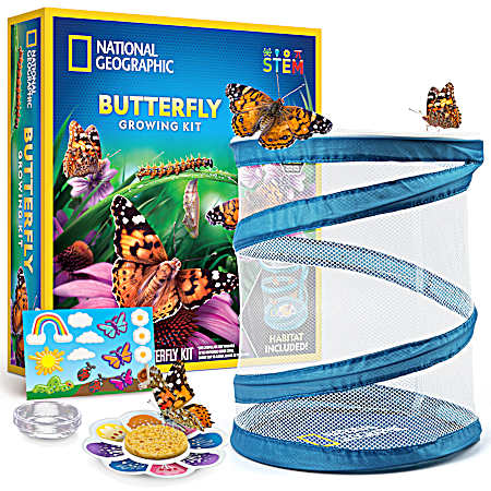 Butterfly Growing Kit