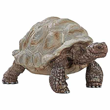 Giant Turtle