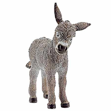 Donkey Foal