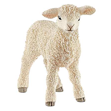 Lamb