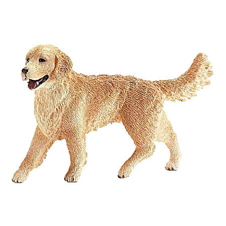 Female Golden Retriever