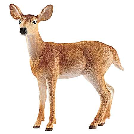 White-Tailed Doe