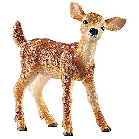 White-Tailed Fawn