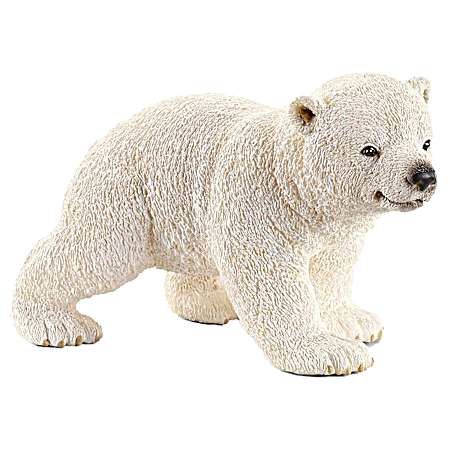 Polar Bear Cub Walking