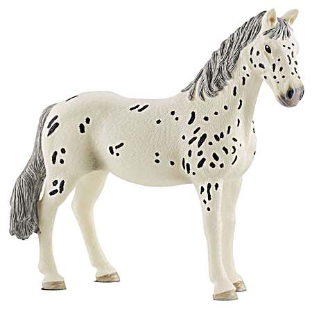 Knabstrupper Mare