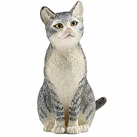 Sitting Cat