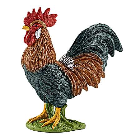 Rooster
