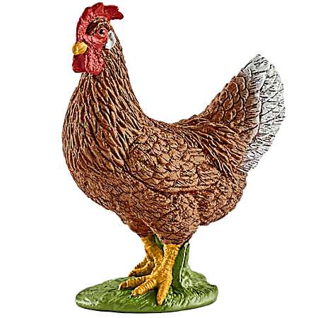 Hen