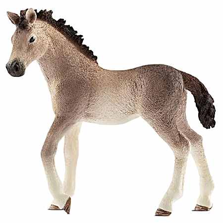 Andalusian Foal