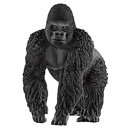 Male Gorilla