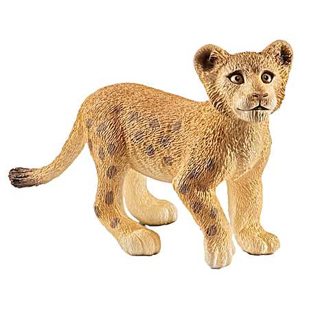 Lion Cub