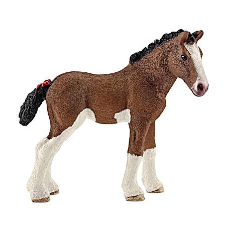 Clydesdale Foal