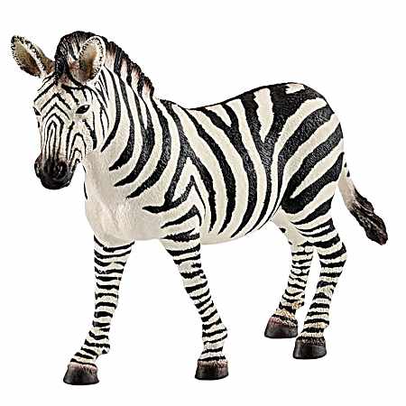 Zebra Female