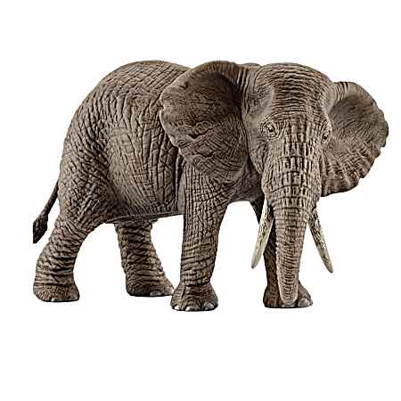 Female African Elephant
