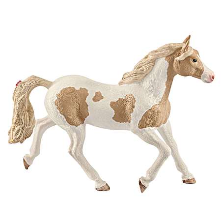 Horse Club Paint Horse Mare