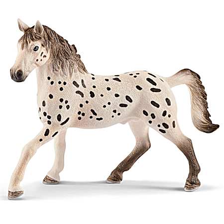 Horse Club Knabstrupper Stallion