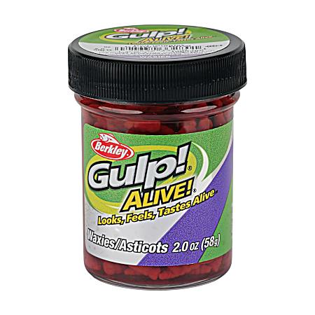 2 oz Gulp Alive Waxies Red Wiggler Jar