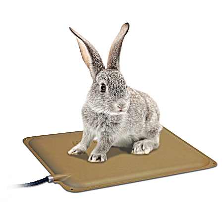 Small Animal Heated Pad