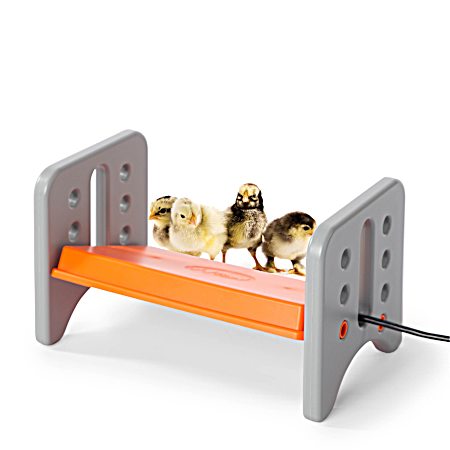 Gray/Orange Thermo-Poultry Brooder