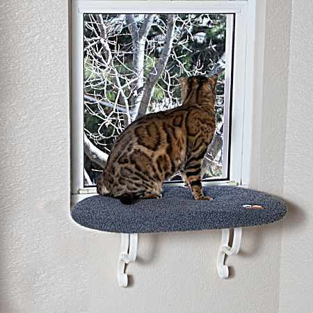 24 in x 14 in Unheated Kitty Sill