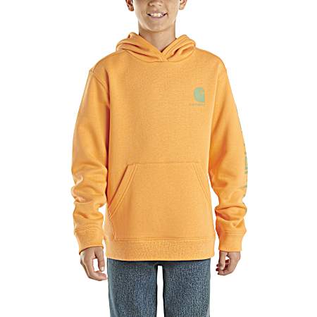 Boys' Tangerine Graphic Pullover Sweatshirt