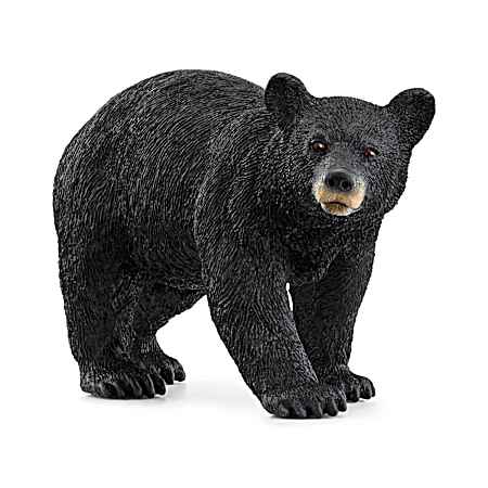 WILD LIFE American Black Bear