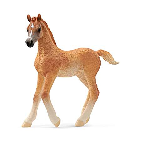 HORSE CLUB Arabian Foal