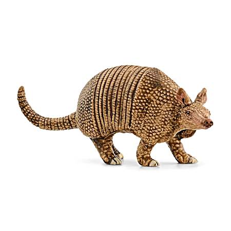 WILD LIFE Armadillo