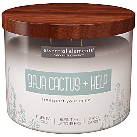 14.75 oz Baja Cactus & Kelp 3 Wick Jar Candle