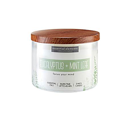 14.75 oz Eucalyptus & Mint Leaf 3 Wick Jar Candle