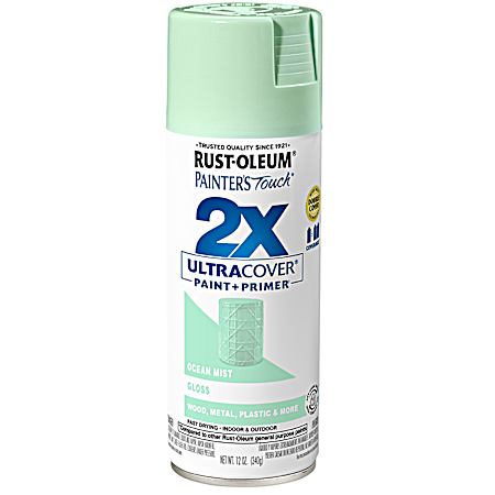 Painter’s Touch 2X Ultra Cover Gloss Spray Paint