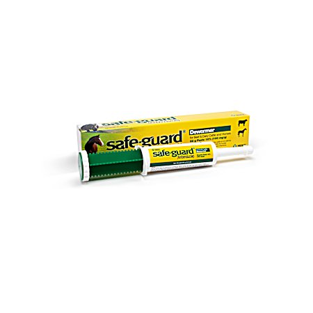 Large Safe-Guard Paste 92 Grams