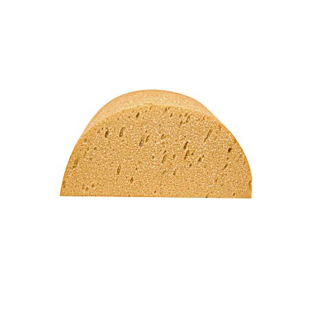 Half Moon Sponge