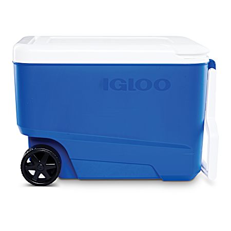 Wheelie Cool 38